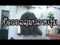 ขั้นตอน