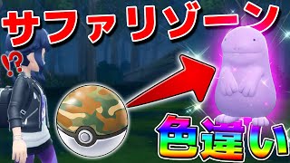 サファリゾーンで色違いを出して発狂する男【ポケモンBDSP】