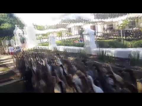 devils...Monsters...meme