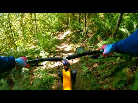 Juice box and Bee Line at 360 Trails