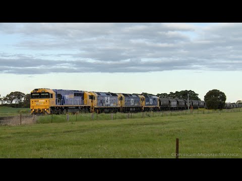 1GK5  Grain Train With 8231, BL30, BL33 & 8124  (11/10/2020) - PoathTV Australian Railways
