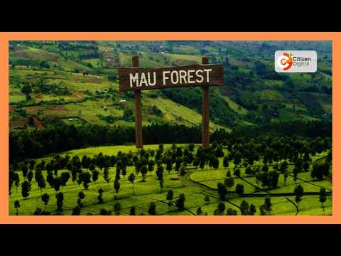 Citizen Planet: Restoring Mau water towers through community-led efforts