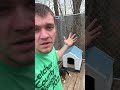 I Bought the Cheapest Dog House on Amazon #Jesus #GrayGang