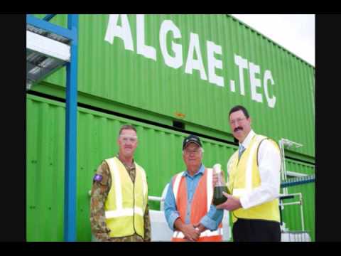 download lagu mp3 mp4 Algae Tec, download mp3 Algae Tec free download, download mp3 Algae Tec