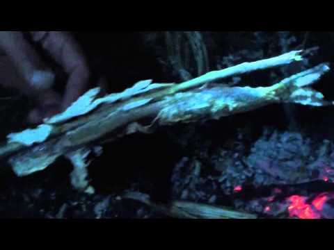 Scrumbie la jar Izvoarele -Mehedinti 17-05-2015