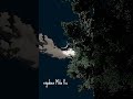 Meri Bekarari Ko Mujhe Raat Din Whatsapp Status Status Edit Sukoonvishwas