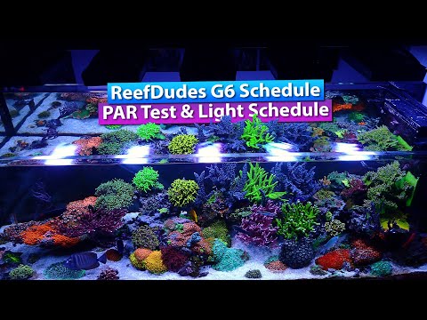 ReefDudes Ecotech Radion G6 Schedule and PAR test