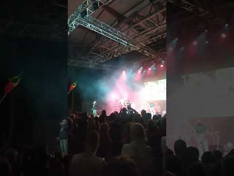 Vavamuffin - Dabuday