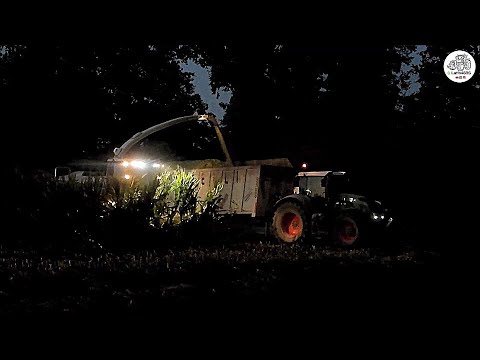 Claas Jaguar 970 Type 498 SHREDLAGE - COPETA - Corn silage in the night 2020
