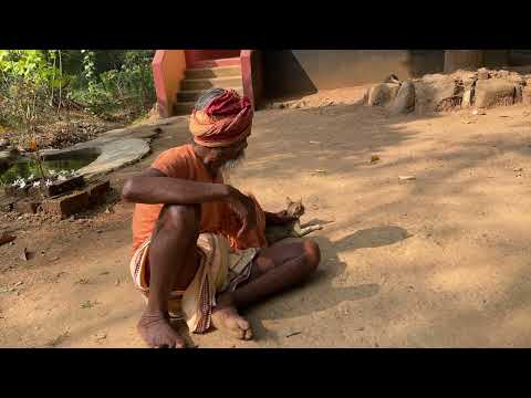 101 Year Old Sadhu Brahma Chaitanya Das Petting a Cat at Chakratirtha Ashram