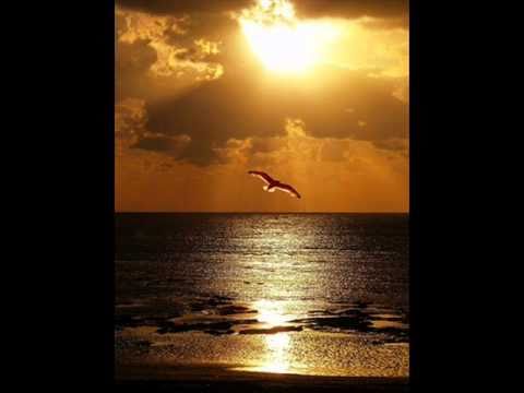 SIM FUGATE.TUCCILLO - PUSHING ON - (Manu Senent ambient remix)