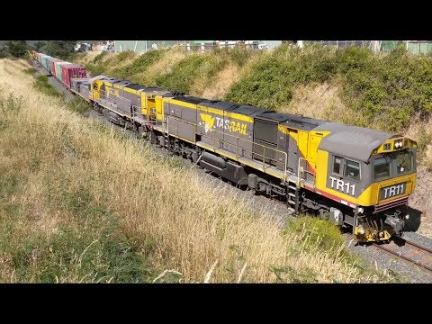 TasRail TR11 TR14 #33 TZAF Geometry wagon Container Empty log train passing through Rocherlea