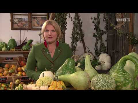 Wurzers Kürbishof in ORF Land und Leute am 22.10.2016