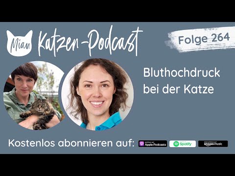 #264 Bluthochdruck bei der Katze  |  Miau Katzen-Podcast