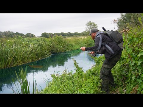 I Can't Believe This Big River Fish Took My FLY! Epic Fight!