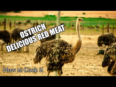 How to Cook Ostrich Meat