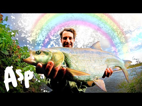 Catching an ASP every CAST...