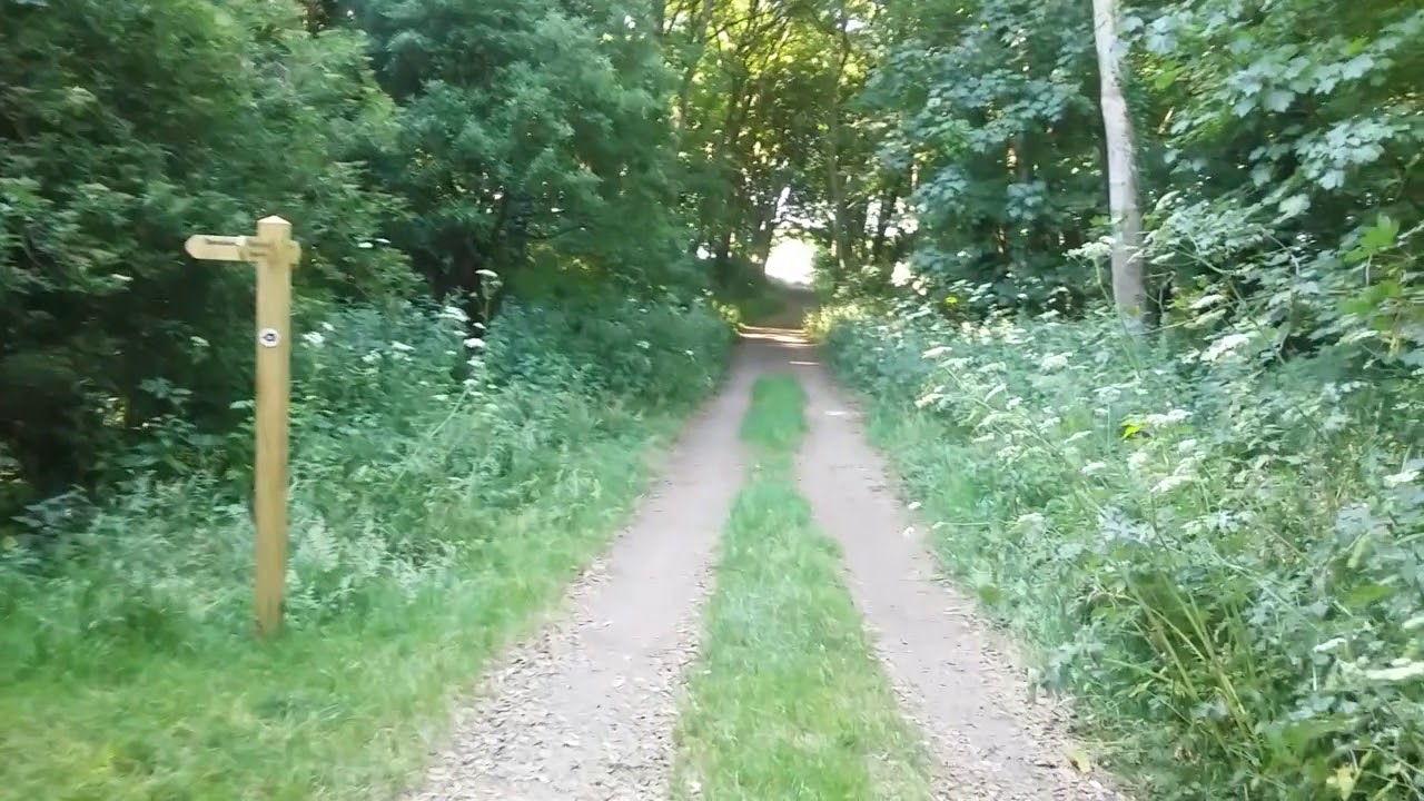 Week 4: Stackpole Striders trail ready in 15 weeks