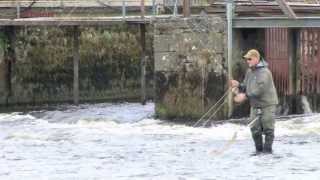 preview picture of video 'Fliegenfischen in Irland - Moy, Ridge Pool 2  / Weir Pool - von etheonTV'