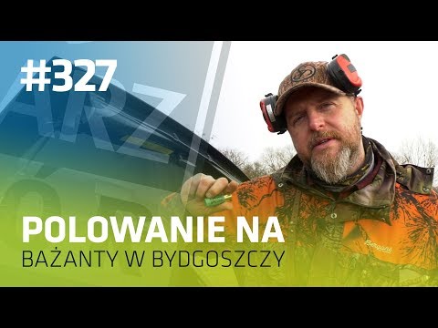 Darz Bór odc 327 - Polowanie na bażanty w Bydgoszczy