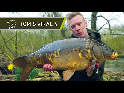 Carp Fishing Behind the Scenes at Nash Tackle - Tom's Viral 4 - Nash Groundhog Brolly and Ball Maker