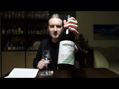 Fortunatus Wild IPA - najlepsze z serii?