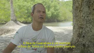 Miniatura do vídeo
