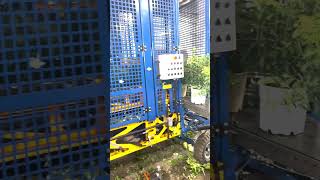 Why Farmers Remove Radish Leaves Before Harvest! #shorts #plants #farming