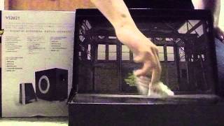 Red Bull Fingerbreakin - 陳永倫