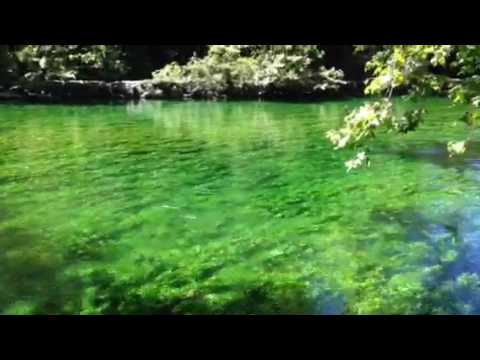 Rio Sorgue, Fontaine de Vaucluse