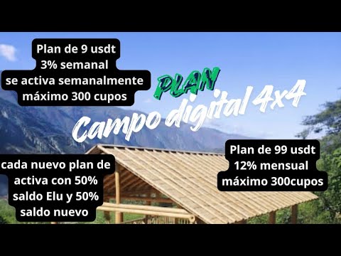 Campo Digital 4x4 2026