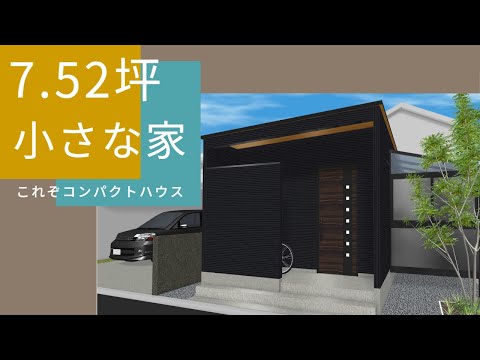 micro-studio-hamac-kitchenette-lit-mezzanine-porte-vélo-mural