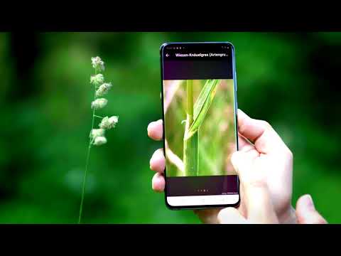 Video zur App Flora incognita