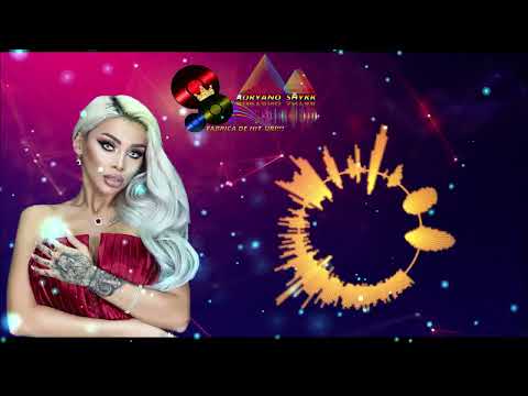 Sistemul Ce A Rupt Romania, Sistem Criminal