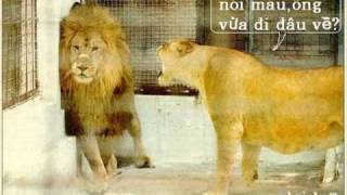 Bài hát 过火 - Nghệ sĩ trình bày Mo Yan Lin / 莫艳琳 / Mạc Diễm Lâm