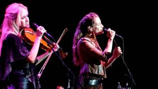 Courtyard Hounds-Skyline-7-9-10