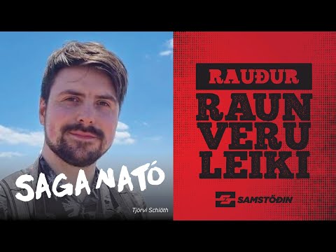 Rauður raunveruleiki – Saga Nató / Tjörvi Schiöth
