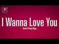 Akon I Wanna Love You Lyrics Ft Snoop Dogg