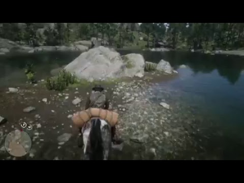 Red Dead Redemption 2 - Schatz der Jack-Hall-Bande