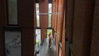 Exploring Bangkok’s chic cafes!! #bangkok #cafevlog #thailand