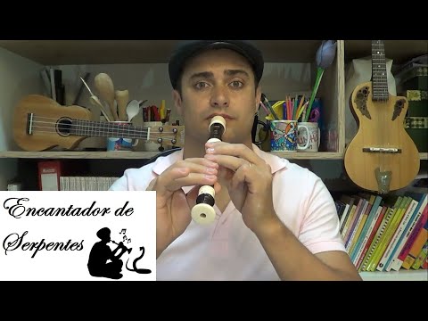 Encantador de serpentes video