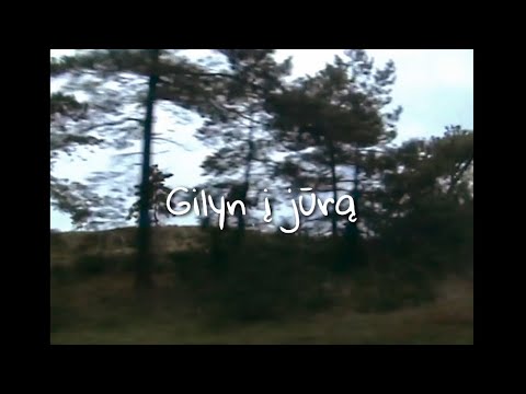 Sniukas - Gilyn į jūrą