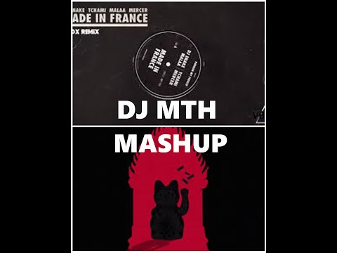 DJ Snake & Tchami VS Wax Motif   Tokyo Made in France (DJ MTH MASHUP)