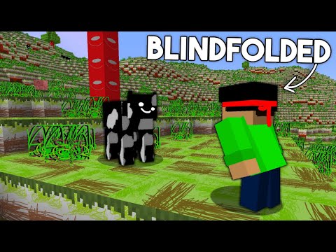 ReniDrag - I Remade Every Texture In Minecraft BLINDFOLDED...