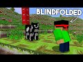 I Remade Every Texture In Minecraft BLINDFOLDED...