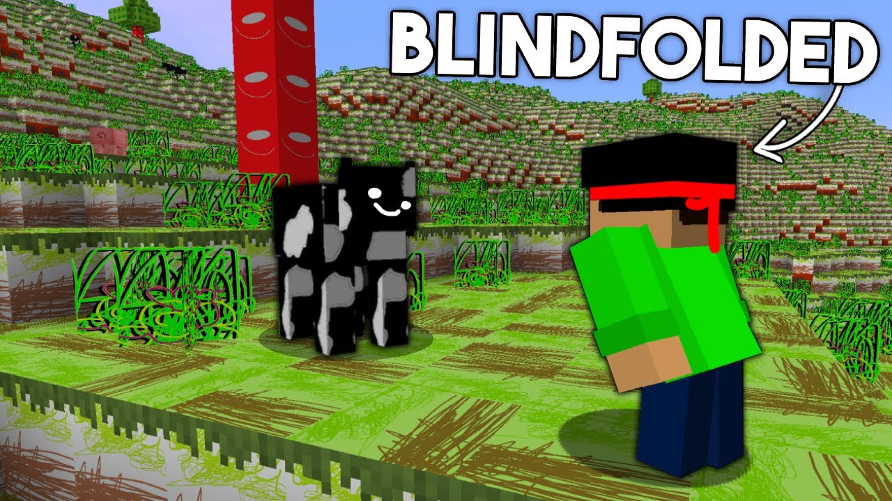 I Remade Every Texture In Minecraft BLINDFOLDED...
