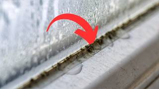 Wisch die Fenster damit ab. Der Schimmel kommt nicht zurück