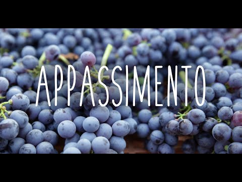 Appassimento for Amarone grapes