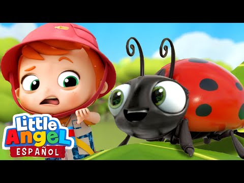Canción Infantil de los Insectos 🐛🐜🐞 | Bebé Juan | Little Angel Español