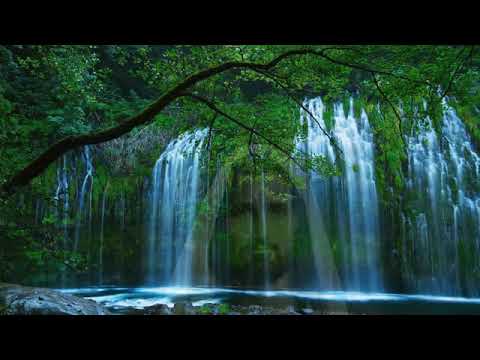 2 Horas de Calma con Jesús Descansar, Orar,Melodía de Paz para Dormir,Melodía con Sonidos Naturales